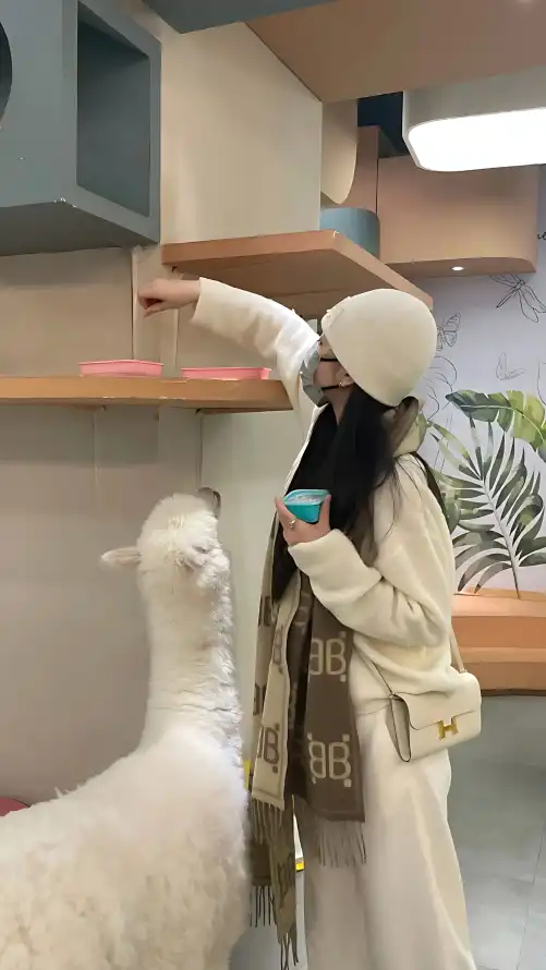 欧洲AV成本人在线观看免费_电子游艺_鼎博